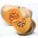 CALABAZA PROVENZA