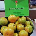 MANDARINA CITRICAREN