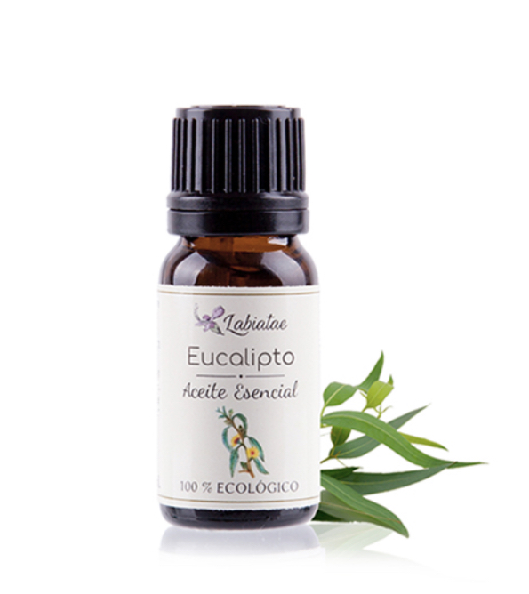 Aceite esencial eucalipto 12ml LABIATAE